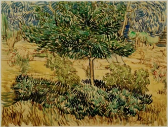Baum und Sträucher im Garten der Heilanstalt